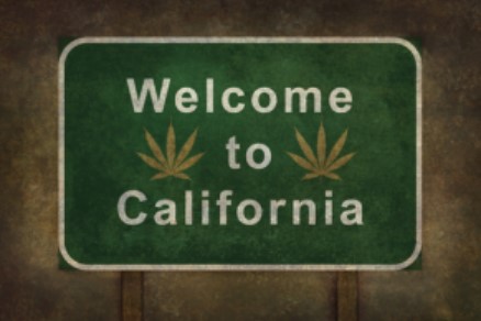 California Cannabis