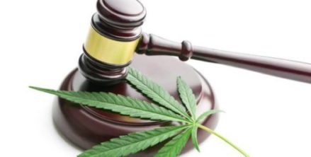 Cannabis Law