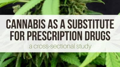 Cannabis as a Substitute for Prescription Drugs