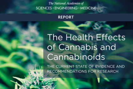 Health Effects of Cannabis and Cannabinoids