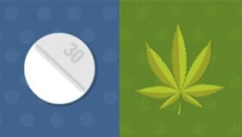 Marijuana and Opioids