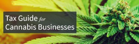 Tax Guide for Cannabis Businesses